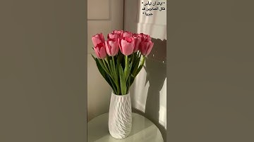 #تلاوة_مؤثرة #تلاوة_خاشعة #إسلام_صبحي #حالات #حالات_واتساب #صوت_يريح_القلب #صلوا_علي_النبي #قرآن