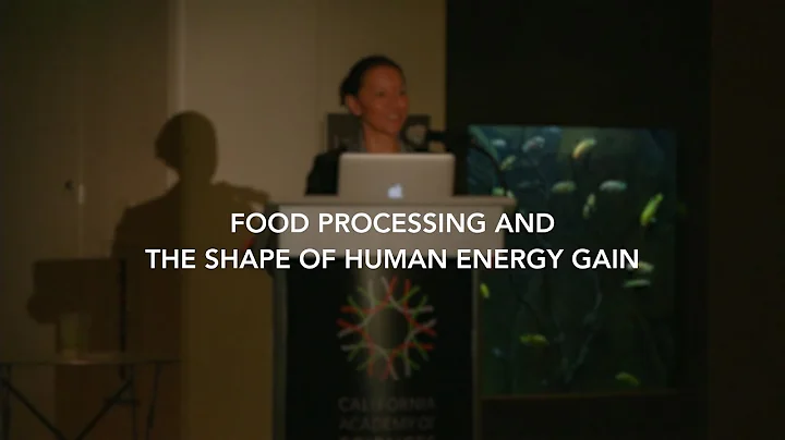 Food Processing and the Shape of Human Energy Gain...