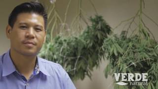 An Intro to Verde Natural Soil Grown Cannabis