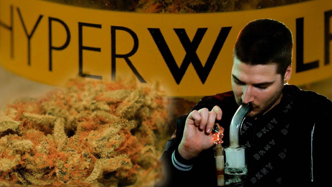 Smoking Grease Monkey by HYPERWOLF (Weed Strain Review)