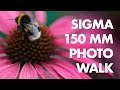 Sigma 150mm Photo Walk (+ Lightroom Editing)