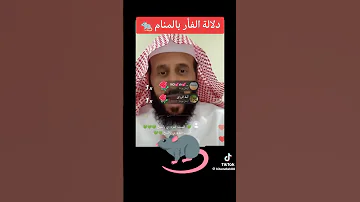 الفأر بالمنام فهد القرني 