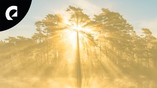 Megan Wofford - Mindful