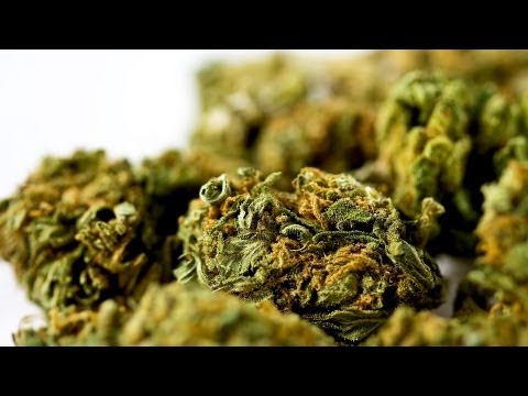 Can Marijuana Help AIDS Patients? | Marijuana