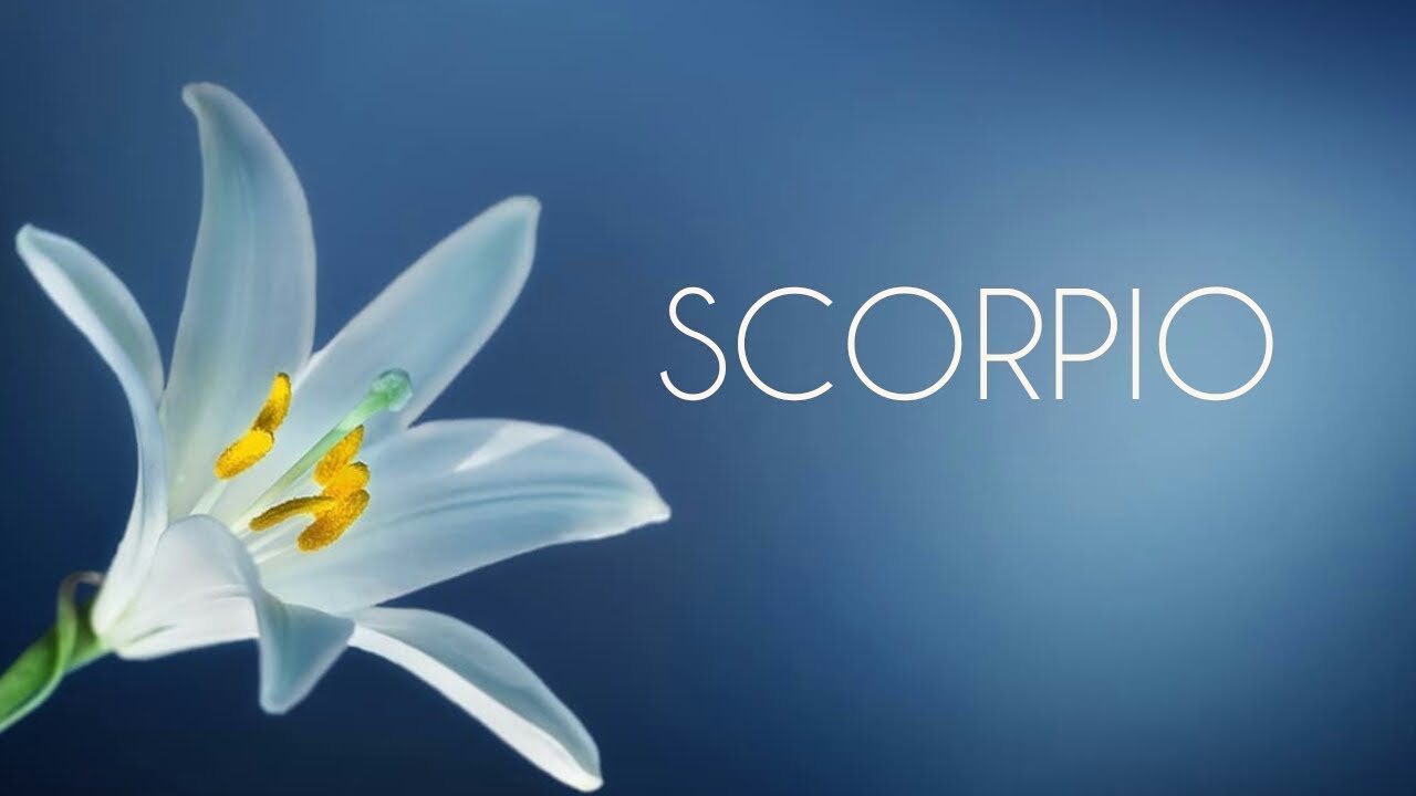 SCORPIO ♏ 