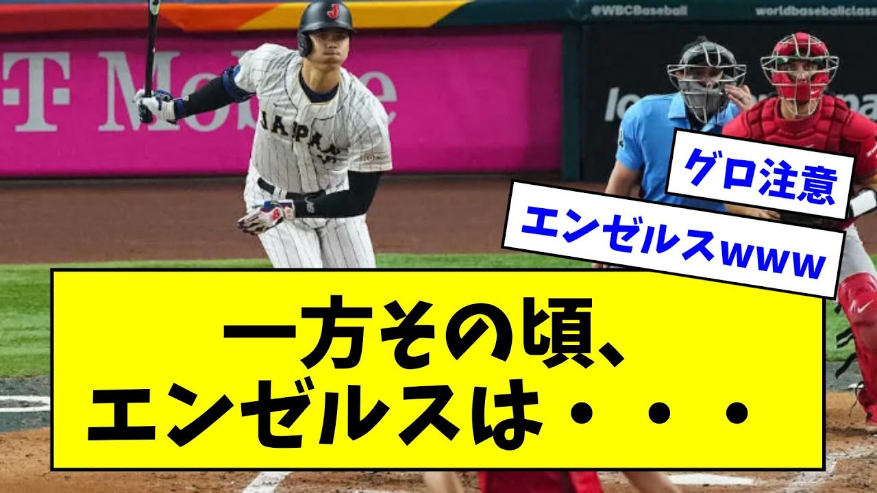 【なおエ】一方その頃、エンゼルスは・・・トラウトと大谷の居ないエンゼルスwwwwwww【なんJ反応】【プロ野球反応集】【2chスレ】【5ch