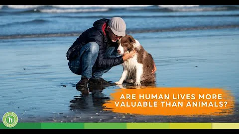 Is human life more valuable than animals? A discus...