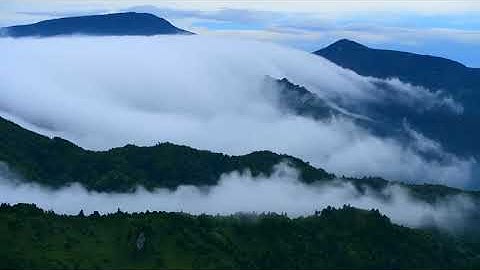 سورة يوسف بصوت القارئ ياسر القرشي