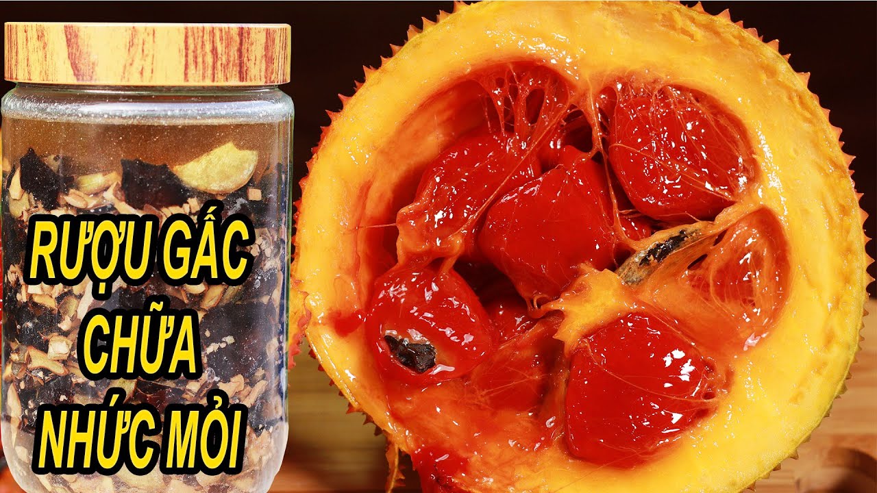 Cách ngâm Rượu Hạt Gấc chữa đau nhức Xương Khớp Sưng Khớp cực hiệu quả an toàn lại rẻ tiền