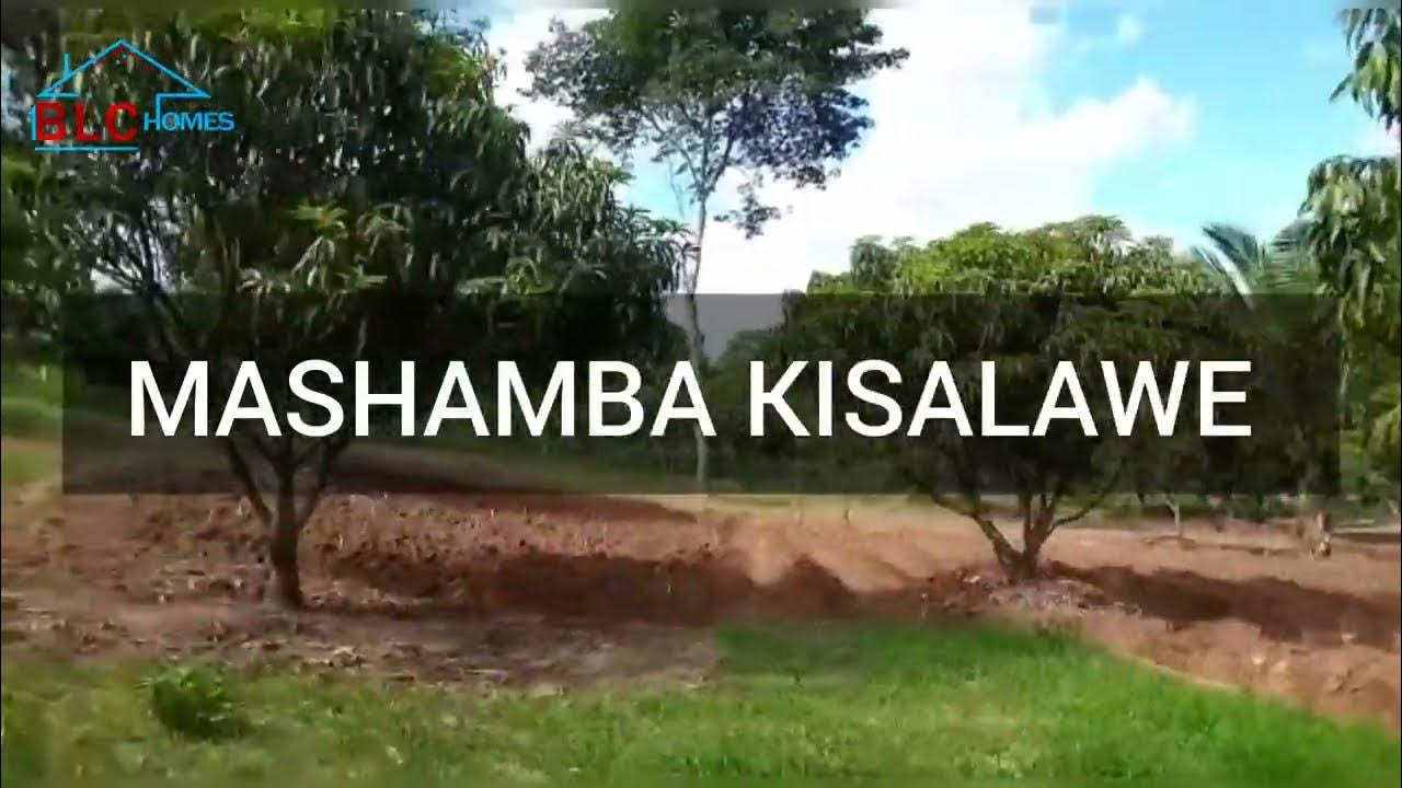 mashamba-yanauzwa-kisalawe-kiwanda-cha-simenti-kwa-heka-moja-ni-million