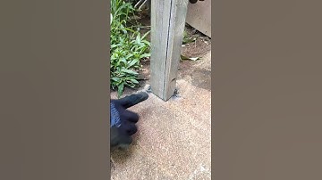 how professional welders install canopy poles strongly and neatly