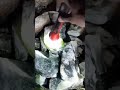 serpentine Parachinar pakistan