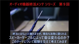 【オーディオ界のアノマリー】スピーカーケーブルによって音は変わるのか？実体験にもとづいてできるだけ科学的に考えた仮説