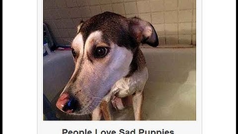 How to Squidoo: Making a Fun lens