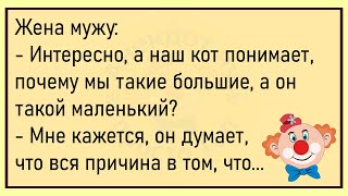 🔥Жена Будит Ночью Мужа...Большой Сборник Весёлых Анекдотов,Для Супер Настроения!