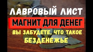 Лавровый лист для привлечения денег! ВЫ ЗАБУДЕТЕ, ЧТО ТАКОЕ БЕЗДЕНЕЖЬЕ!