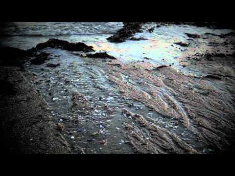 "VEINS TO THE SEA" - short film by Brian Babineau ...