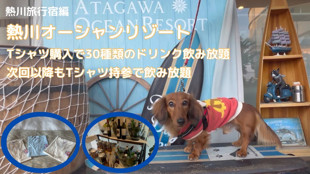 【犬連れ旅行】熱川オーシャンリゾート 202503