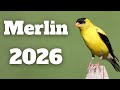 Complete Guide To The Merlin Bird ID App In 2026 Complete Guide To The Merlin Bird ID App In 2026