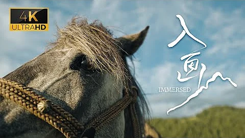 【4K 120FPS】SONY A7S3 官方样片——《入画》 - 天天要闻