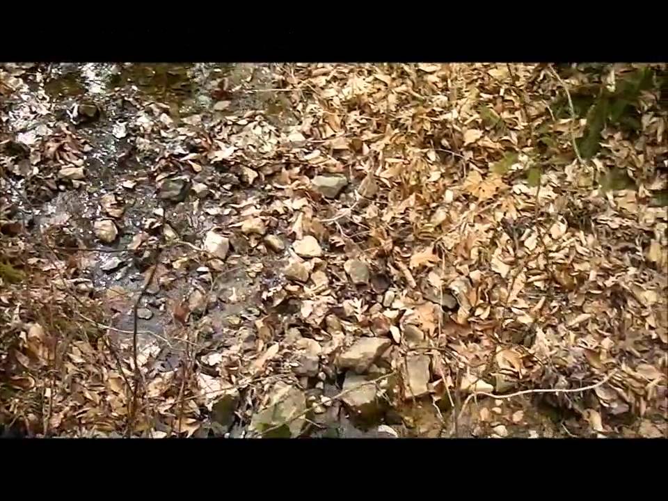 Farmhouse on 138 acres 