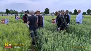 Semine 2025 - Le Migliori Varietà Per Alte Produzioni In Campo