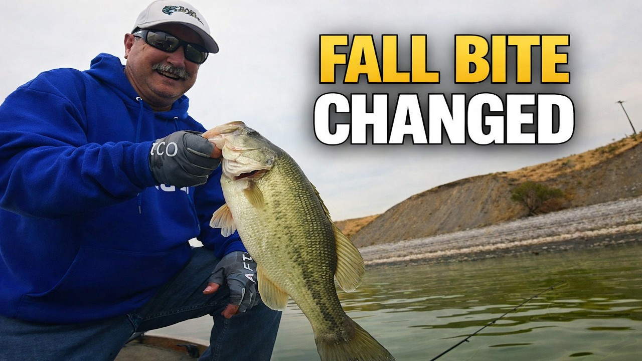 Stop Fishing Fall Bass Like It's Summer