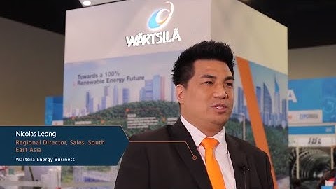 Nicolas Leong discusses how Wärtsilä 31DF engine links to the energy transition | Wärtsilä