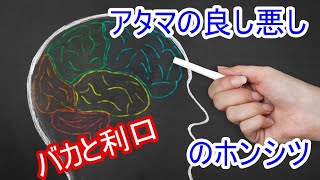 バカと利口の境界線【番外編408】036&37ちゃんねる：完全オフモード。まったり、ダラダラ、とりとめなく #グレートリセット #大激変 #2023年