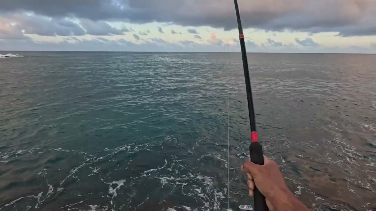 Just Gotta Go (TroPoB4Work)