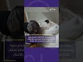 تربية فرخ نادر من ملك النسور باستخدام دمية مصممة خصيصا لمحاكاة شكل الطائر البالغ