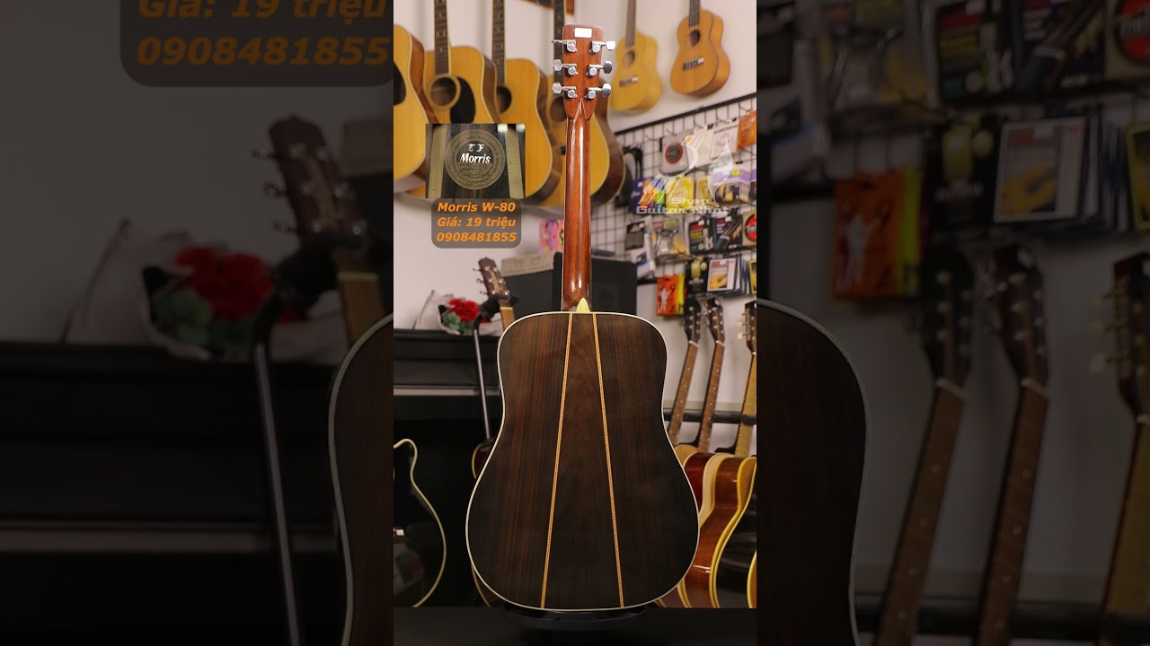 Morris W-80 #guitar #guitarnhatcu #guitarnhat #morris #w80 - YouTube