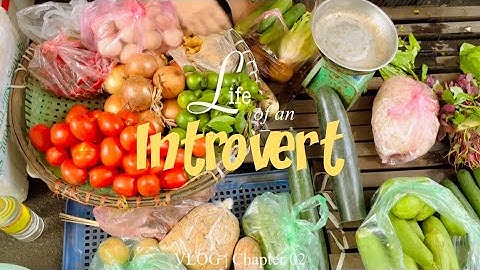 INTROVERT diaries 🌻 veggies restocking, quality time with him, etc. 🌿 [VLOG | Chapter 2] 