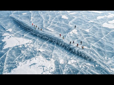 Scientists Woke Up a 24,000-Year-Old Frozen Animal