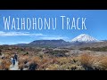 Waihohonu Track [NZ] | Hiking with kids