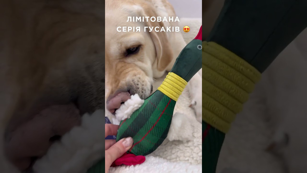 Іграшка гусак для собак Хосе Карлос Pajama Edition Green