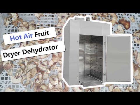Industrial Peach Dryer Machine Fruit Dehydrator Factory Price