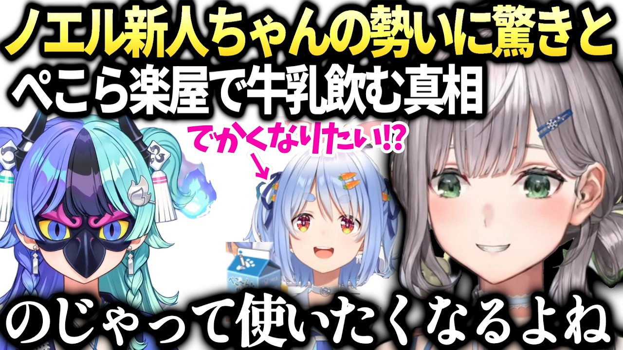ノエル新人ちゃんに驚きとぺこらの謎【白銀ノエル/ホロライブ切り抜き/アソビまわり隊】