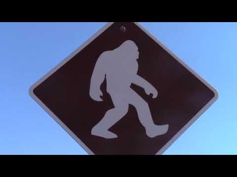 Specter Sleuths Episode 42 - The Ivory Obelisk
