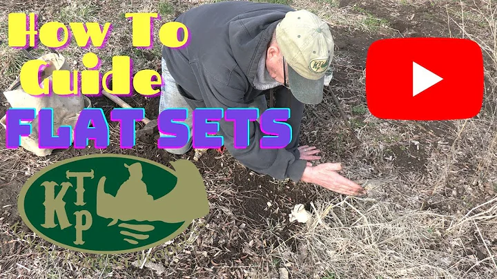 How To Guide A Flat Set For Coyote Trapping