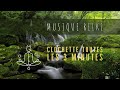 Musique Reiki avec clochette toutes les 3 minutes : Ambiance de nature et rivière [Babbling Brook]