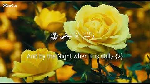 سوره "العصر" "الكافرون" "الضحى" "النصر" القارئ  إسلام صبحي لمده دقيقتين Reader Islam Sobhi