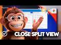 FULL TUTORIAL Google Chrome Split View: Seamlessly Manage Tabs & Workflow