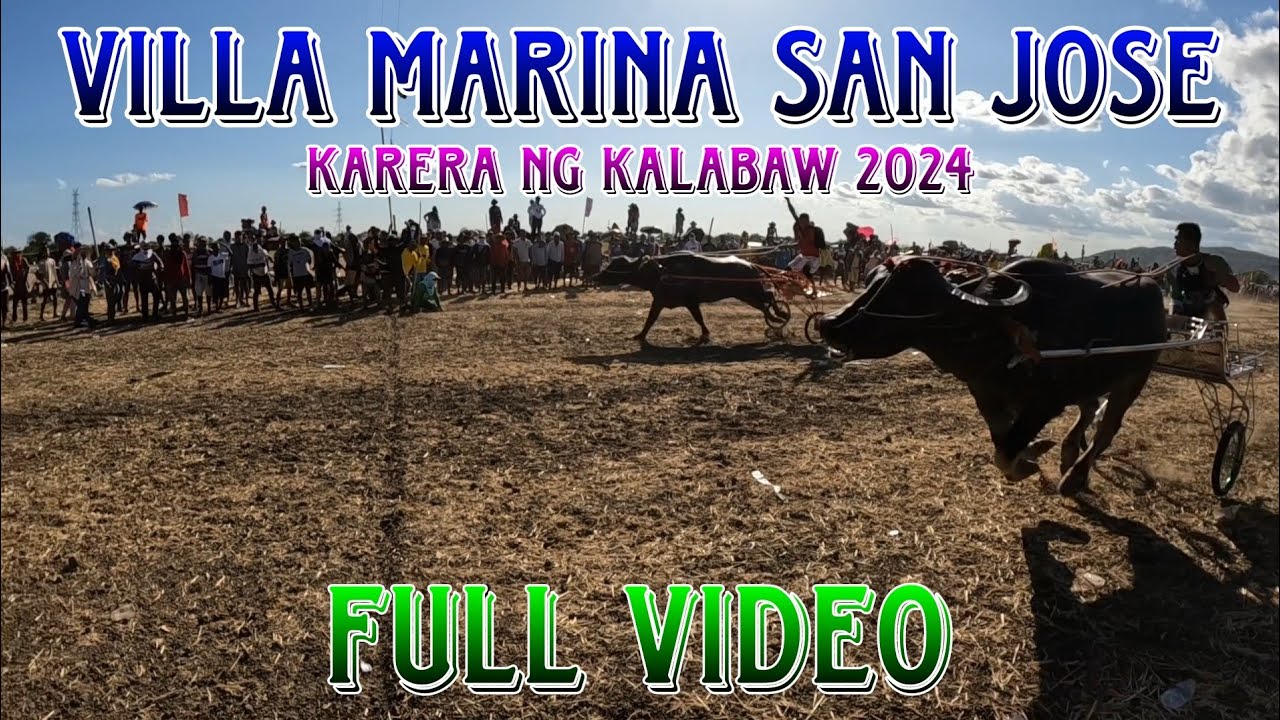 villa Marina carabao race 2024 full video - YouTube