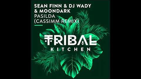 Sean Finn, DJ Wady & MoonDark - Pasilda (CASSIMM Remix)