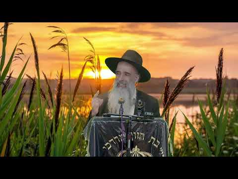 הרב מאיר דוד שמואלי - עוצמתה של תפילה