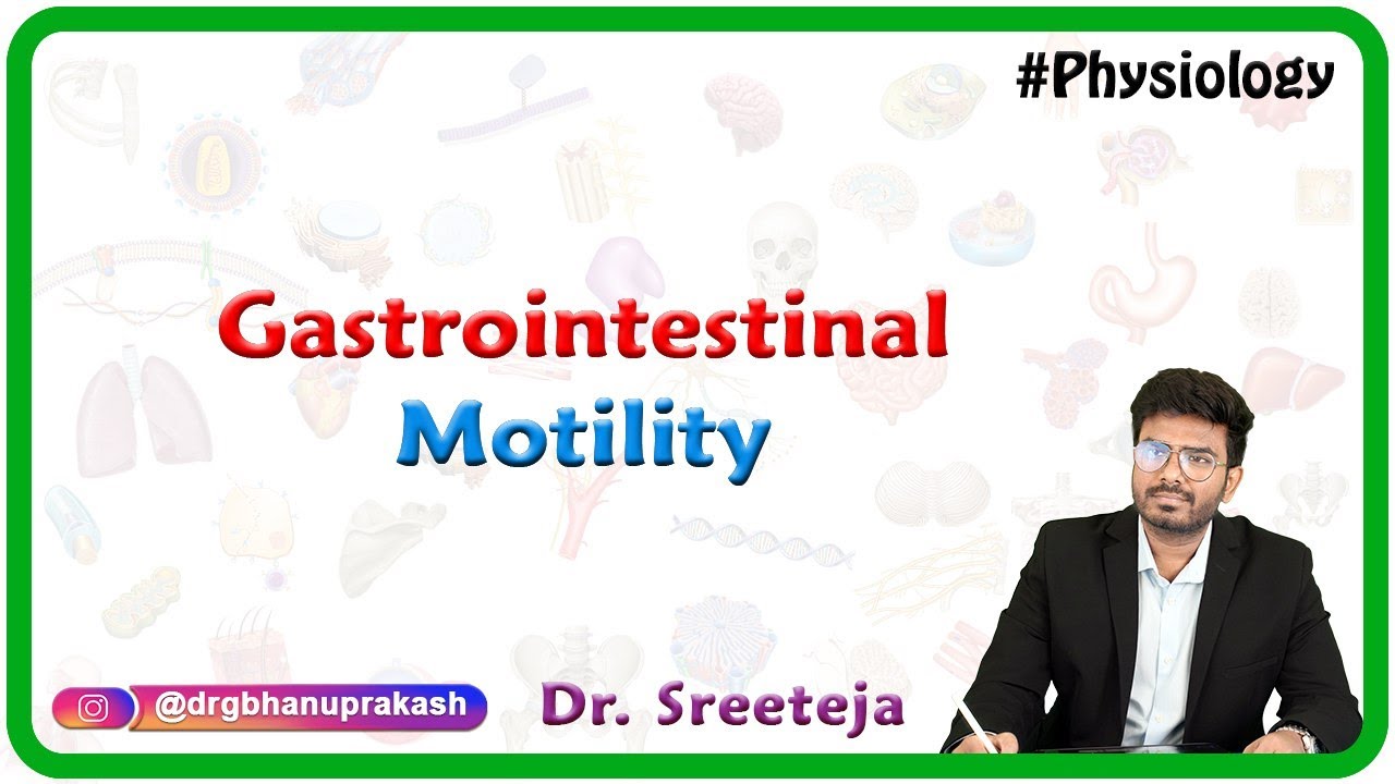 Physiology of Gastrointestinal motility : USMLE Step 1