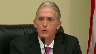 Celebrity Trey Gowdy Dumbfounded by New Orleans Immigration Policies Net Worth
