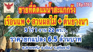 [🚫ปิดการขาย🚫] ขายที่ดินติดแม่น้ำพร้อมสวนผลไม้ โฉนดครุฑแดง 3 ไร่ 1 งาน 22 ตร.ว. ราคายกแปลง 6.5 ล้าน