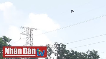 Nguy cơ mất an toàn lưới điện do thả diều